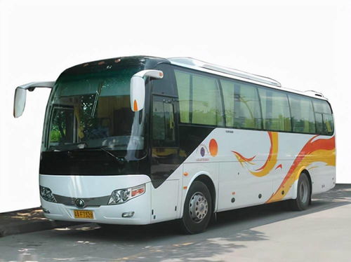 國慶租車首選泰州中航租車，專業服務助力便捷出行