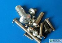 供應元頭內梅花螺絲(BCA) 高效緊固件的專業解決方案